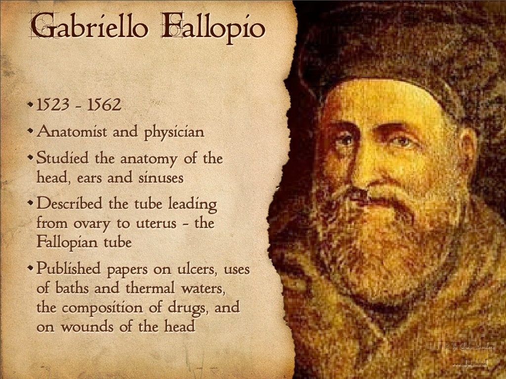 Gabriello Fallopio (1523 – 1562)