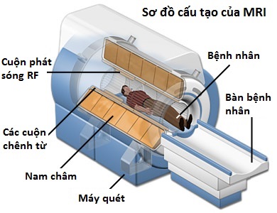 Cấu tạo máy chụp ảnh cộng hưởng từ MRI
