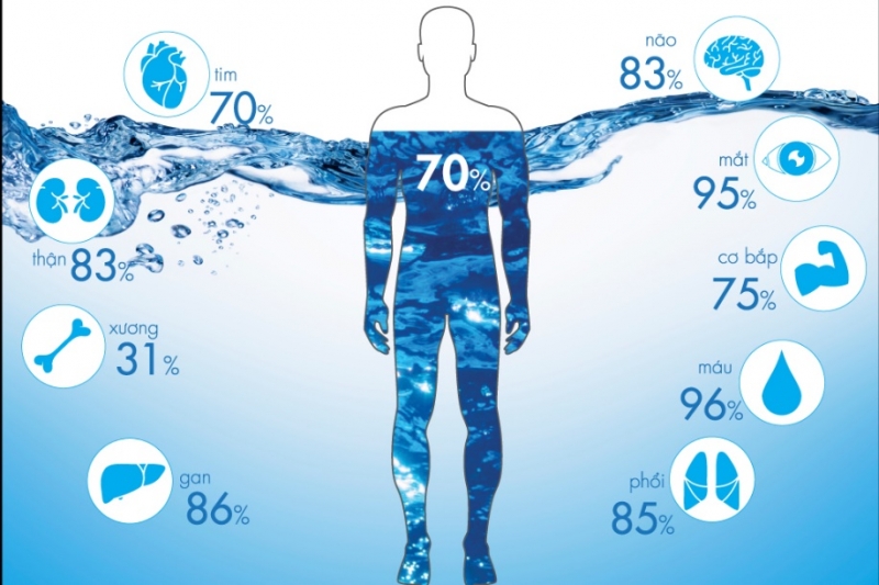 Vai trò của nước đối với sức khỏe 