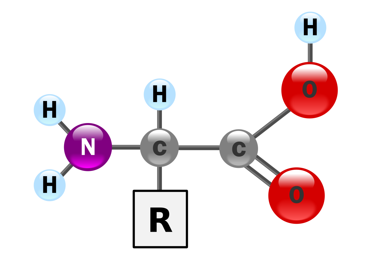 Acid amin