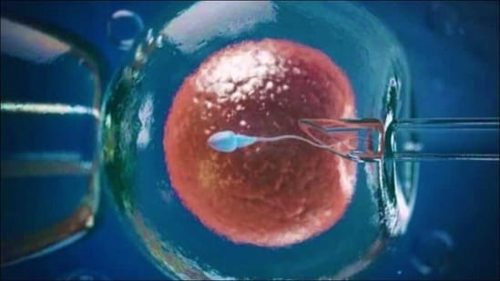Thụ tinh trong ống nghiệm (IVF) 